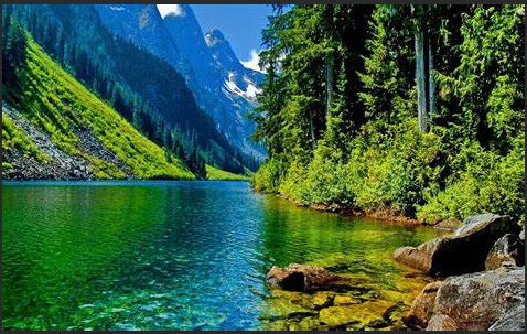 Forest with a river and mountains